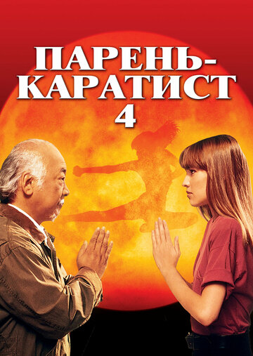 Парень-каратист 4 смотреть онлайн